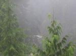 IMG_1548.JPG